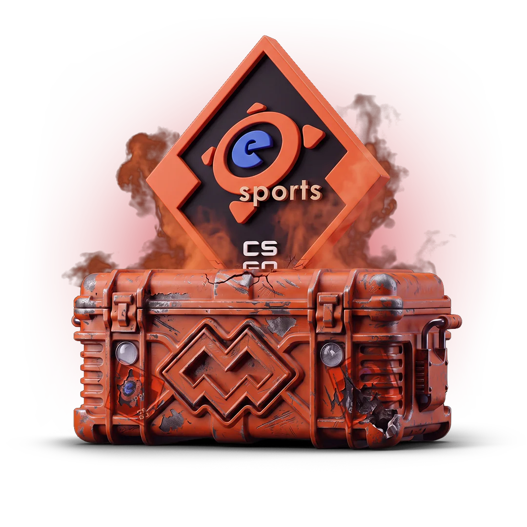 Esports 2013 Case
